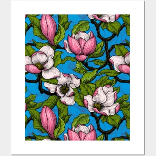 Blooming magnolia on blue Posters and Art